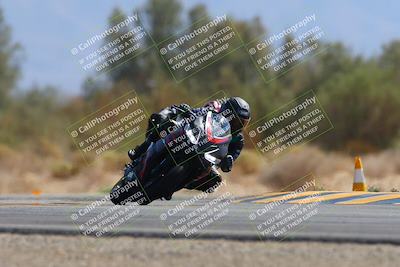 media/Oct-05-2024-Race Pace (Sat) [[aa7b44e117]]/8-Turn 7 (1110am)/